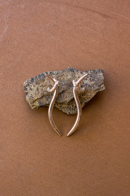 PENDIENTES ANDROS PLATA